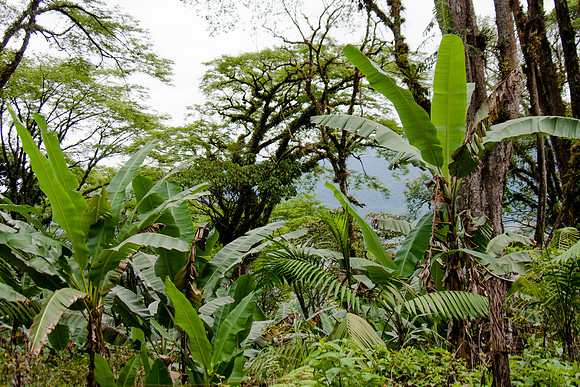 RMF_TFP_F4M_MEXICO 2013 (42)