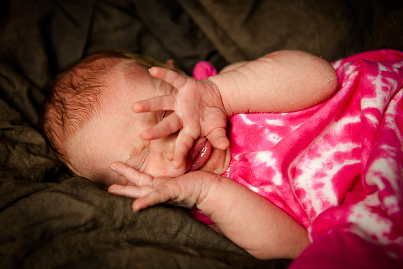 rmf_tfp_5-18-15  (33)