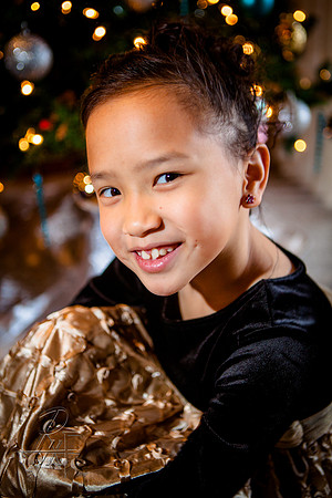 RMF_TFP_12-22-12 (164)