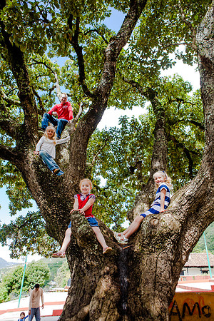 _MG_9731