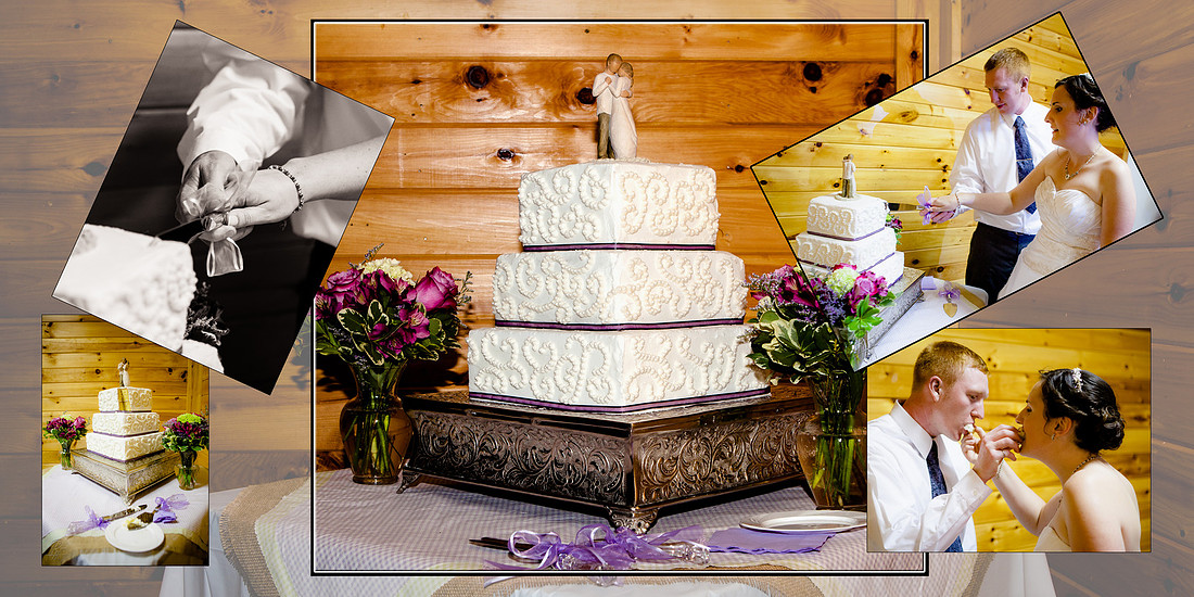 wedding cake photography harrisburg pa the focus photography album