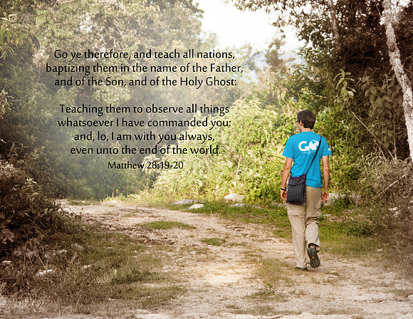 Back cover copy