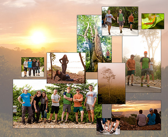 Jungle Hike copy