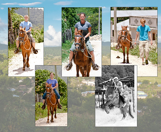 Horseback copy