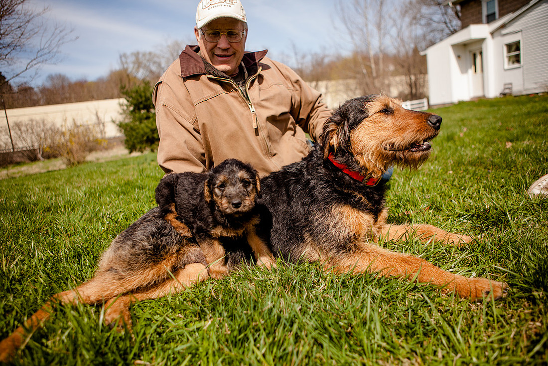 airedale puppies dauphin pa the focus photography rose finley photographer