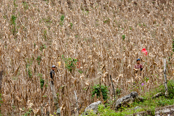 RMF_TFP_F4M_MEXICO 2013 (71)
