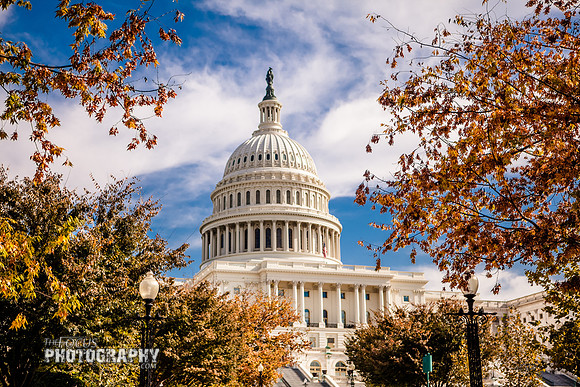 RMF_TFP_DC 10-28-13 (299)