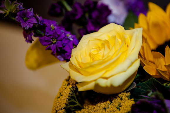 RMF_TFP_ 10-11-14 (271)