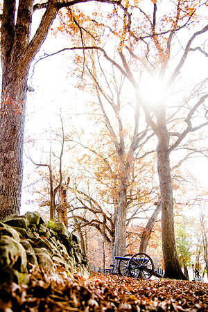 RMF_TFP_GB_10-29-13 (35)