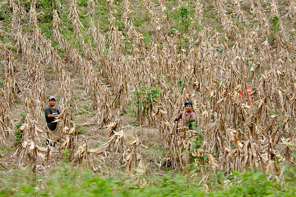 RMF_TFP_F4M_MEXICO 2013 (73)
