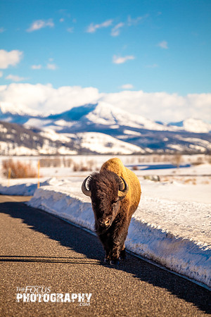 RMF_TFP_3-13-14 (534)