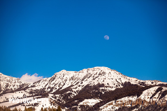 RMF_TFP_3-13-14 (541)