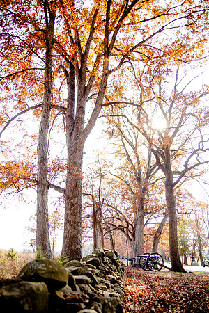 RMF_TFP_GB_10-29-13 (25)