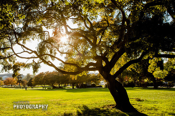 RMF_TFP_DC 10-28-13 (561)