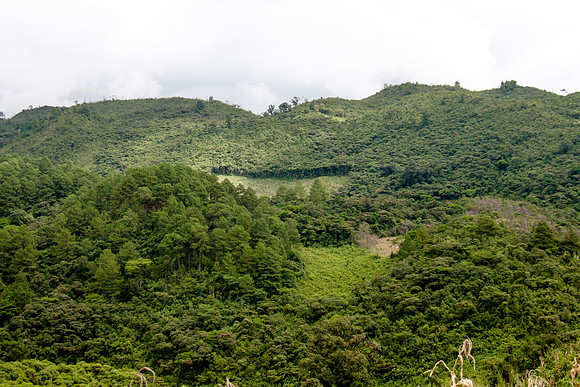 RMF_TFP_F4M_MEXICO 2013 (79)