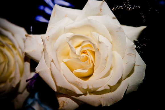 RMF_8-9-10 (39)
