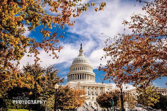 RMF_TFP_DC 10-28-13 (301)