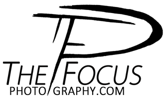 The Focus Photography